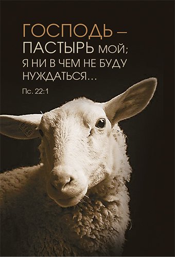 Магнит 115 «Господь – Пастырь мой; я ни в чем не буду нуждаться»