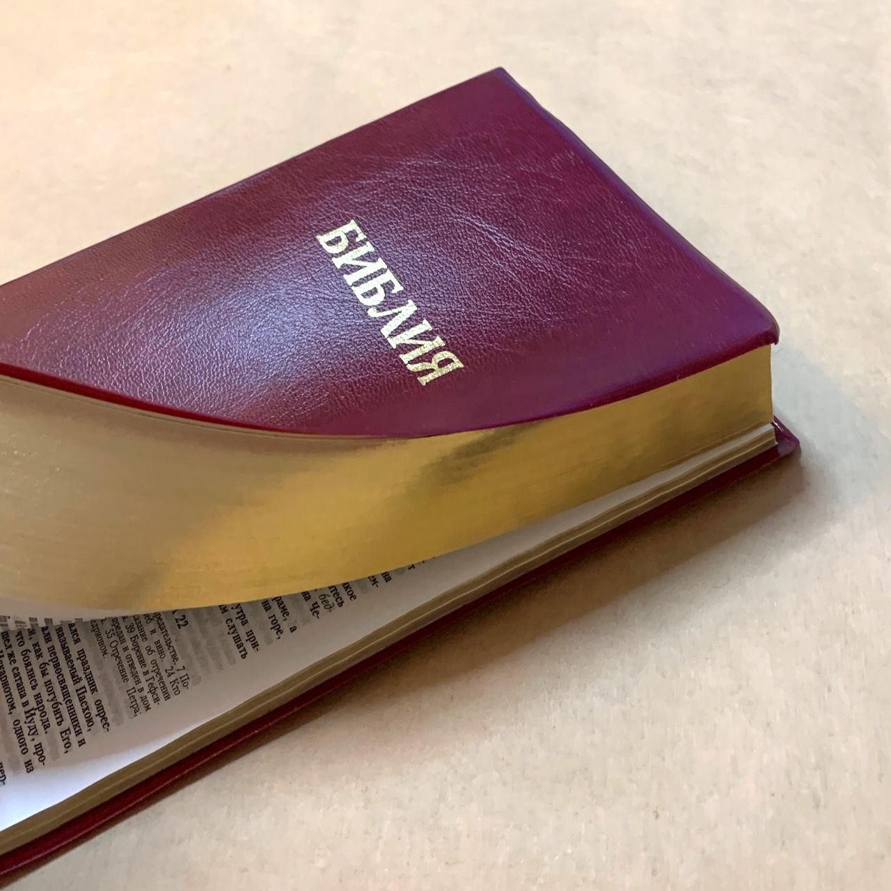 Библия — цвет бордо, переплет иск. кожи без индексов