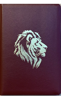 Библия С8 - кожаный переплет на молнии с индексами цвет бордо